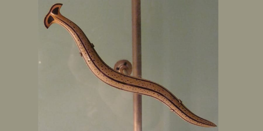 生きている(有) 切断しても死なない「不滅の生物」がアメリカで増殖中、