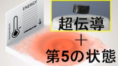 物質の第5の状態と超伝導が同時に起こることが判明