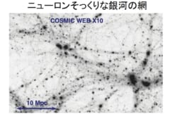 ニューロンと銀河の網は構造がそっくりである