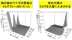 ミミズは雨の後に川で入水自殺する。特に夏の大雨のあとは入水が多く起こる