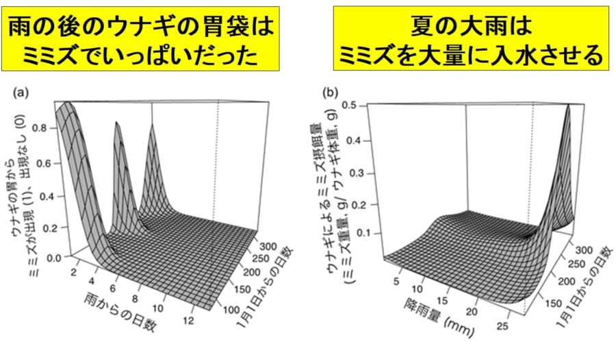 ミミズは雨の後に川で入水自殺する。特に夏の大雨のあとは入水が多く起こる