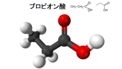 なぜプロピオン酸が放射線から幹細胞を守るのかまではわかっていない