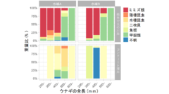 川岸がコンクリートなどで工事されているとウナギはミミズを食べられなくなる