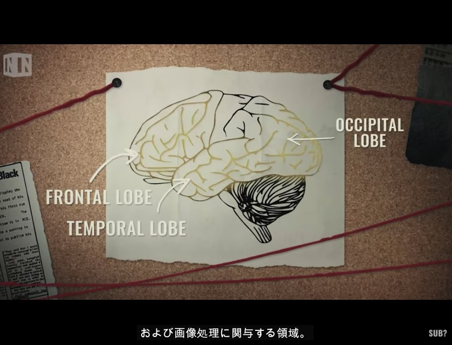 人類が「陰謀論」に惹かれやすいのは、脳の進化に原因があった!?の画像 3/6