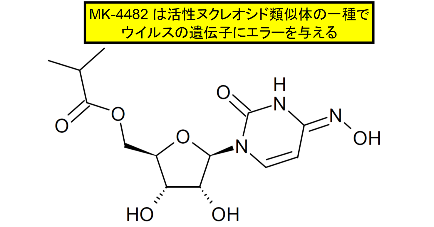 MK-4482はヌクレオシドの類似体でウイルスの遺伝子にエラーを起こさせる