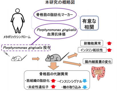 歯磨きをしないと大変なことになるのは葉だけではなかった