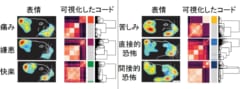 各感情をあらわしたときのニューロン発火パターンを測定することで、感情固有のコードを解明できる