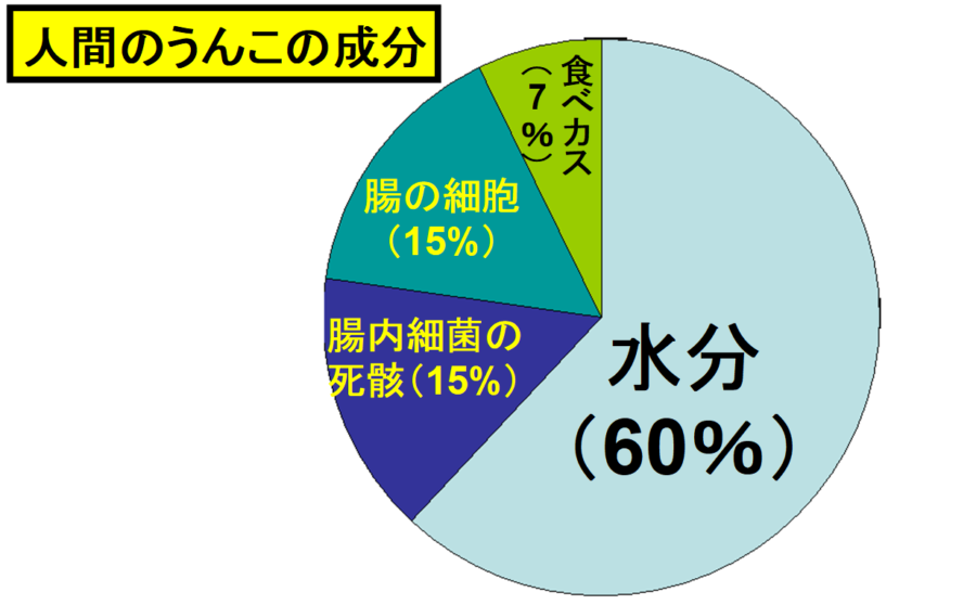 人間のうんこの15%は腸内細菌およびその死骸である