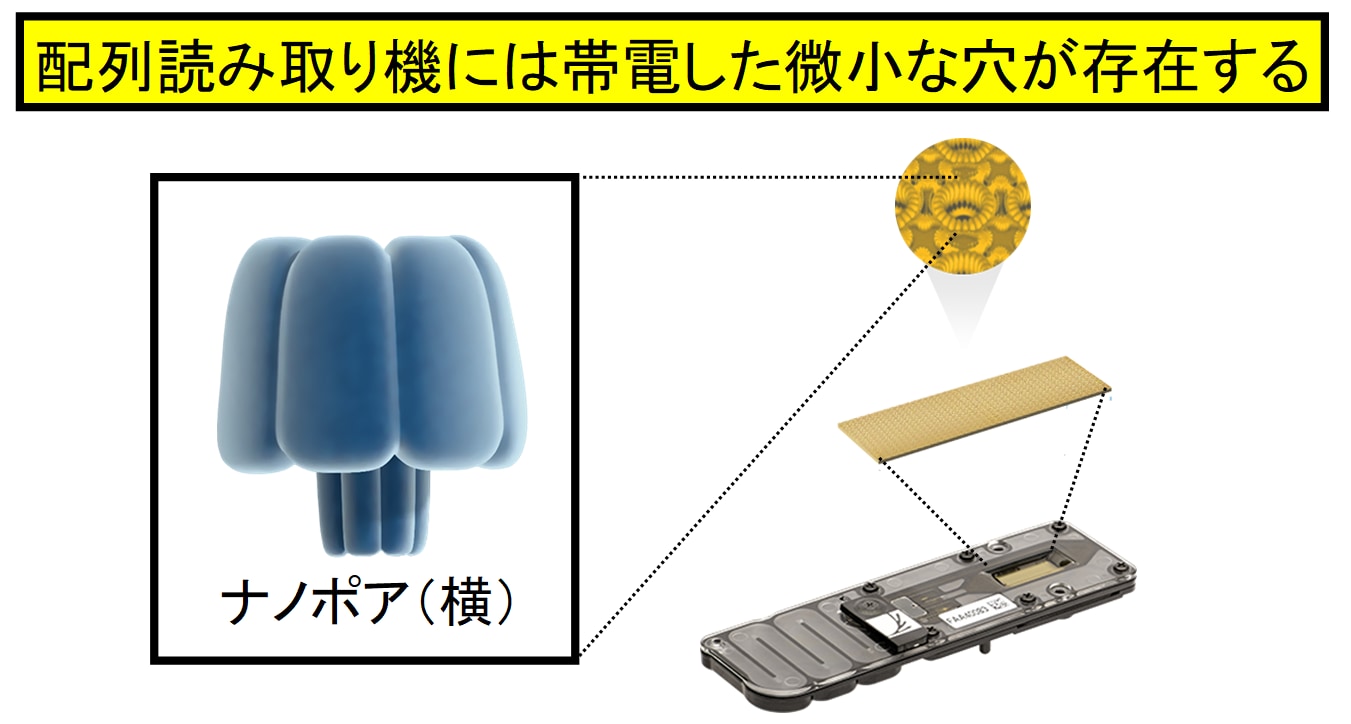 中心部には帯電した小さな穴が無数に存在する