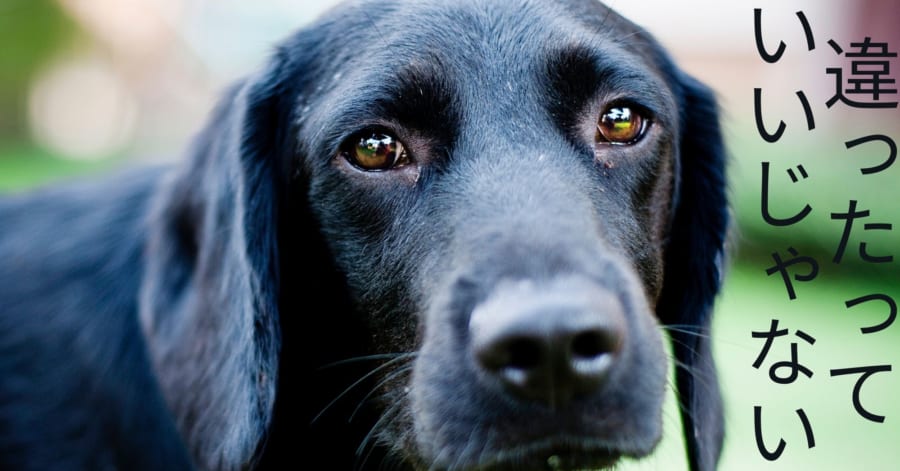 犬は特定の犬種を迫害したりはしない