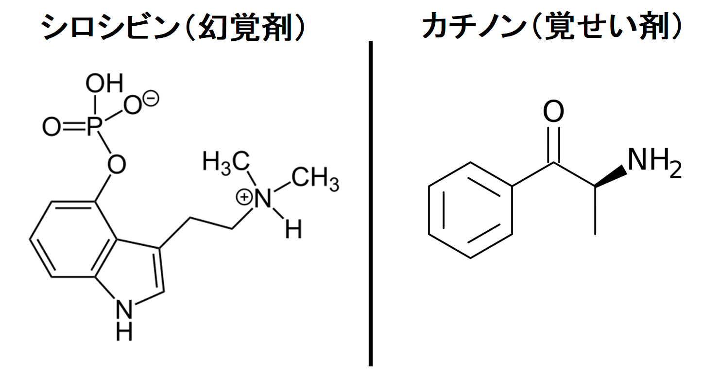 シロシビンはマジックマッシュルームにも含まれる幻覚剤で、カチノンはアンフェタミンに似た構造をしている覚せい剤