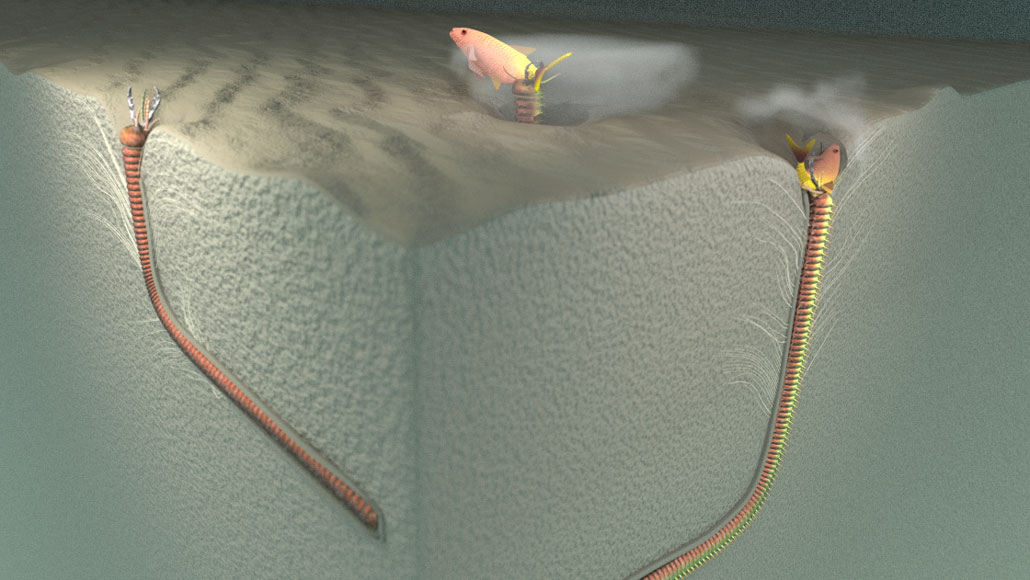 012121_ht_giant-worms_feat (1)の画像