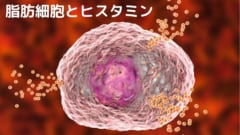 過敏性腸症候群に対しては抗ヒスタミン薬の効果が期待できる