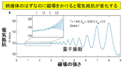 量子振動は金属にしかみられなかったが絶縁体でも確認できた