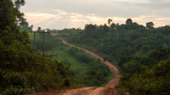 アマゾンの生態系を脅かす隠された道路をAIが発見する