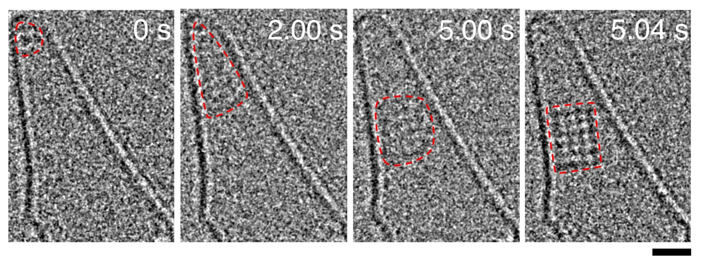 NaCl結晶核が形成される様子を捉えた原子分解能電子顕微鏡動画（40ミリ秒/フレーム）。