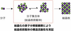 結晶核を形成する以前の分子集合体は、流動的に構造を変化させながら、結晶に類似した秩序だった構造を過渡的にとることが示された。