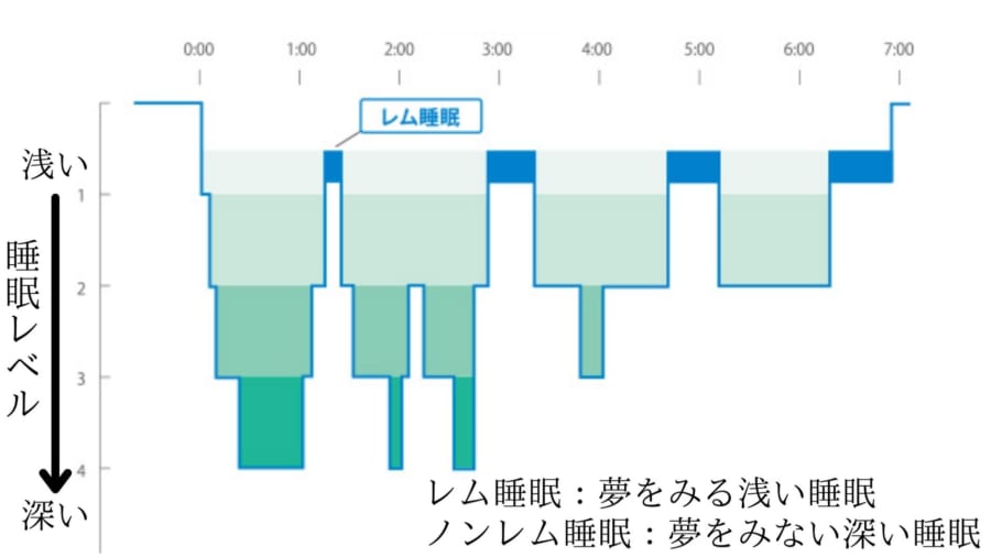 レム睡眠は眠りのレベルが浅いため夢をみる