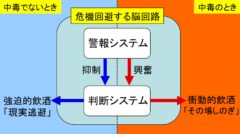 中毒になる前はアルコールは判断システムの鈍化の作用があるが、中毒になると常に判断システムが活性化されるようになる