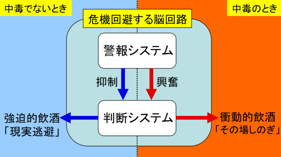 中毒になる前はアルコールは判断システムの鈍化の作用があるが、中毒になると常に判断システムが活性化されるようになる