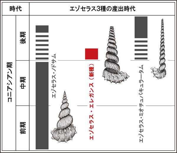 3種の産出時代