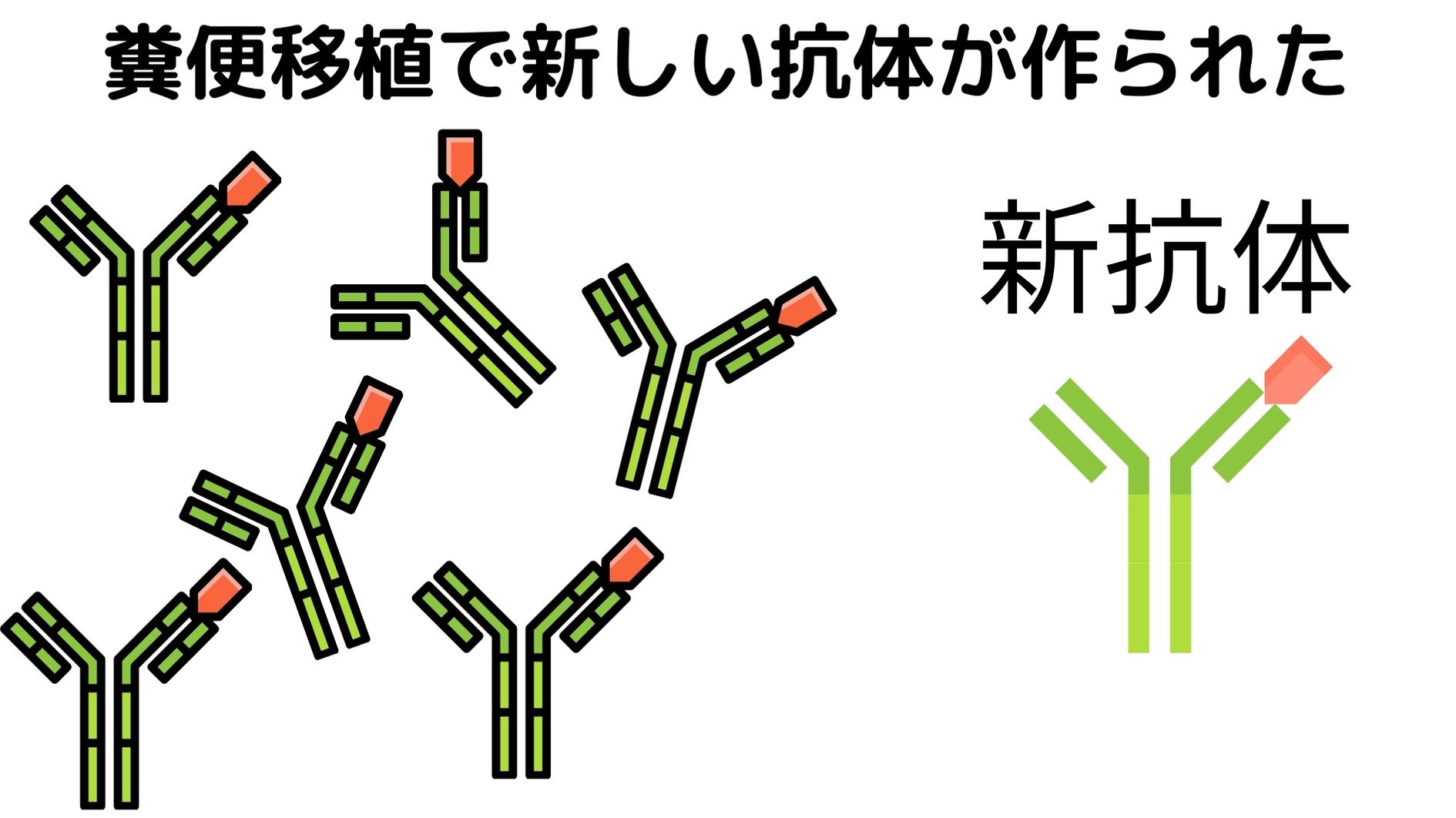 他人の糞便を移植することで新たな細菌に対する抗体がつくられる。その中にはがん細胞に効果があるものがある