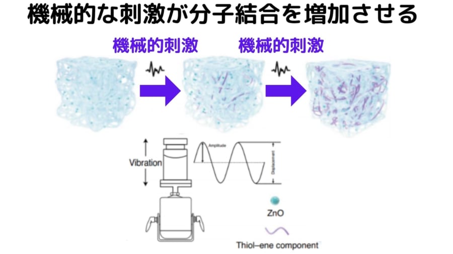 外部からの機械的な力を内部の科学的な分子結合力に変換する