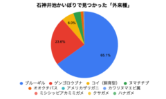 外来種の数の円グラフ（％）