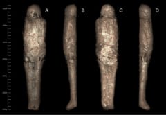 史上初「泥で塗り固められたミイラ」を発見！ さらに石棺は別人のものと判明の画像 3/3