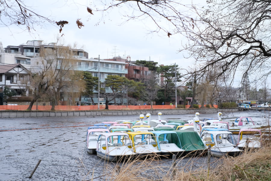 水が抜かれた石神井池とスワンボート