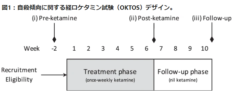 ケタミン投与計画。6週間は投与し続け、その後投与無しで観察