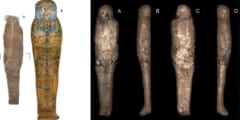 史上初「泥で塗り固められたミイラ」を発見！