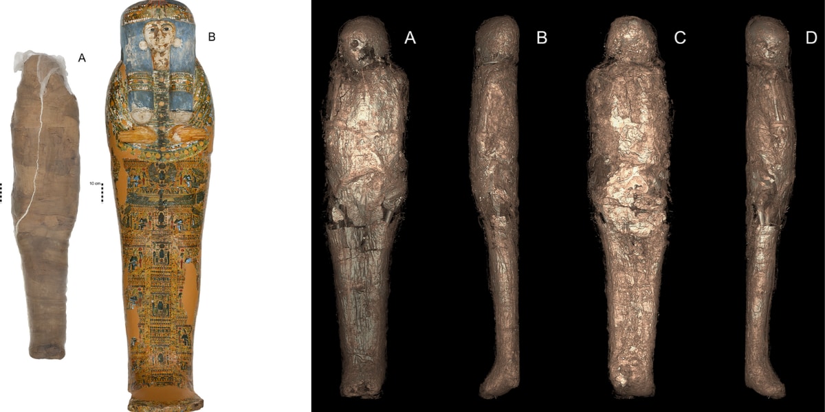 史上初「泥で塗り固められたミイラ」を発見！