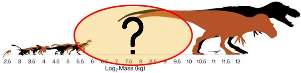 体重100キロ以上１トン未満の中型肉食恐竜はあまり知られていない