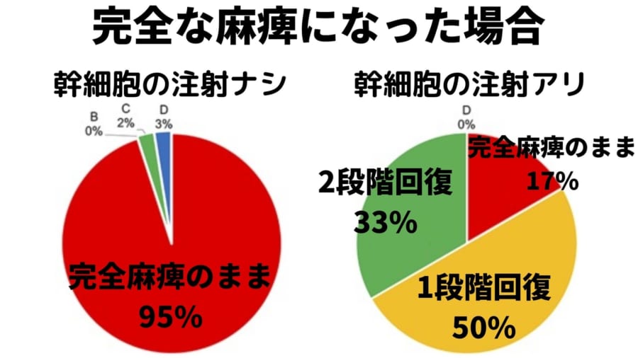 通常、脊髄麻痺に陥った場合、回復はほとんど望めない。判断基準は American Spinal Injury Association Impairment Scale (ASIA)を利用