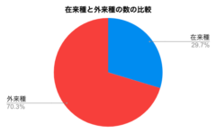 在来種と外来種の比較