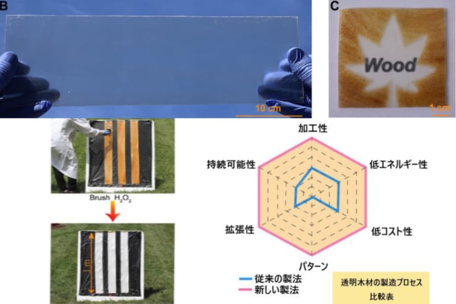 ガラスより硬い「透明な木材」を効率よく作ることに成功！ 透明な家を建てることも可能に