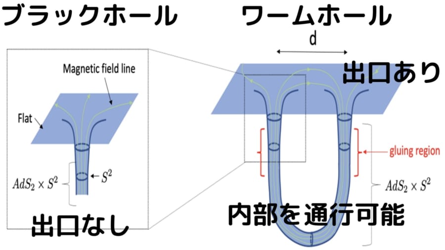 ブラックホールは飲み込まれたら2度と出てこれないが、ワームホールは出口がある