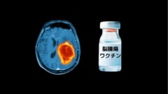 脳腫瘍をワクチンで治療することに成功！