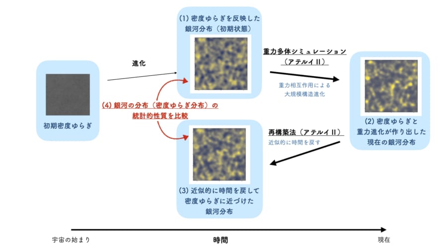 研究の解説図。初期密度ゆらぎが進化したと考えた銀河分布を用意し、そこから重力多体シミュレーションで現代の宇宙まで成長させる。それを再構築法で巻き戻し、最初の条件のものと見比べる。