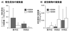 川魚の社会システムは「森から降ってくる昆虫の量」により激変することが判明！（日本）の画像 4/4