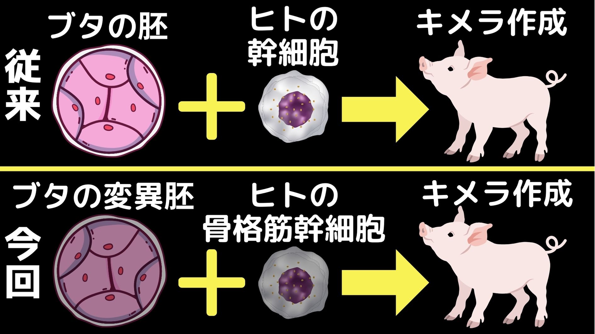 新たな実験手法は変異体をベースにしている