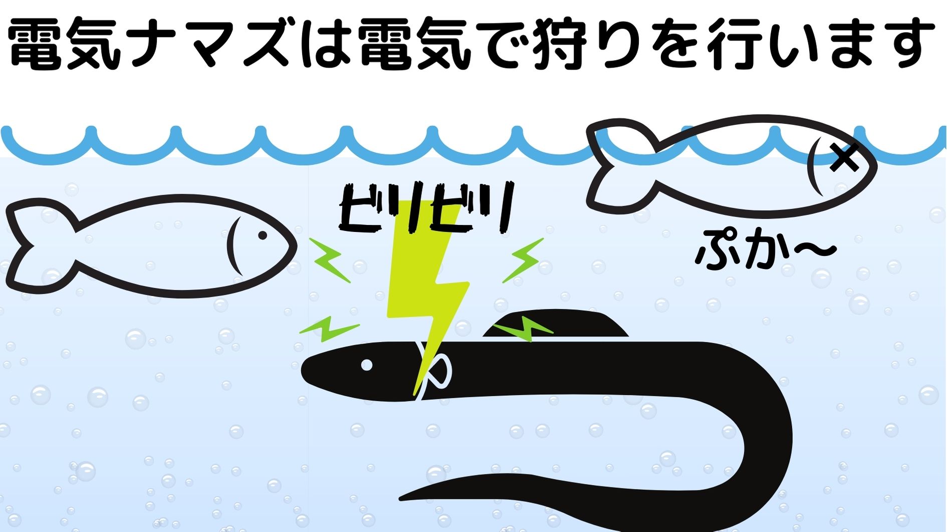 デンキナマズは体内のニューロンから生成した電気を放って獲物を麻痺させる