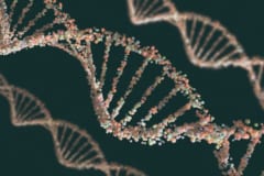 壊れやすいDNA。しかし、トレオース核酸を利用することで長期保存を可能にする分子ができる。