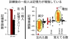 訓練により一般人も記憶の宮殿をもてることが判明した