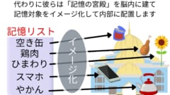 記憶すべき単語を記憶の宮殿の中に配置し詳細にイメージする