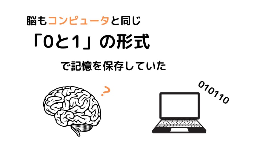 人間の脳は有機スーパーコンピュータだった！「0と1」で記憶を保存すると明らかに