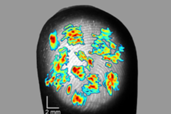 人間の指紋には滑り止めだけじゃなく思っていたより「感度増幅」の役割があった