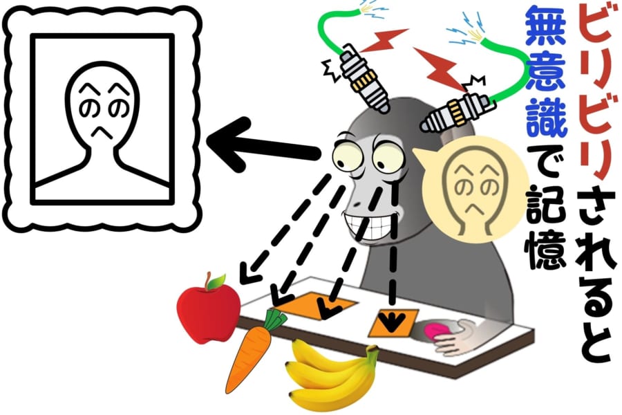好きな内容なら「無意識」でも記憶できると判明！
