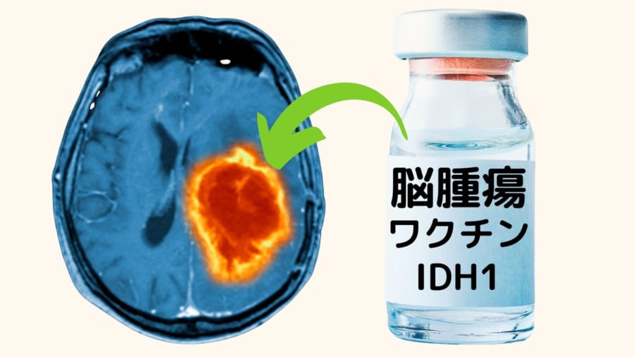 がん細胞だけにみられるタンパク質をワクチンの材料にする